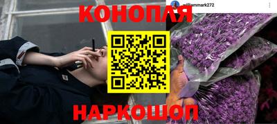 спиды Можга