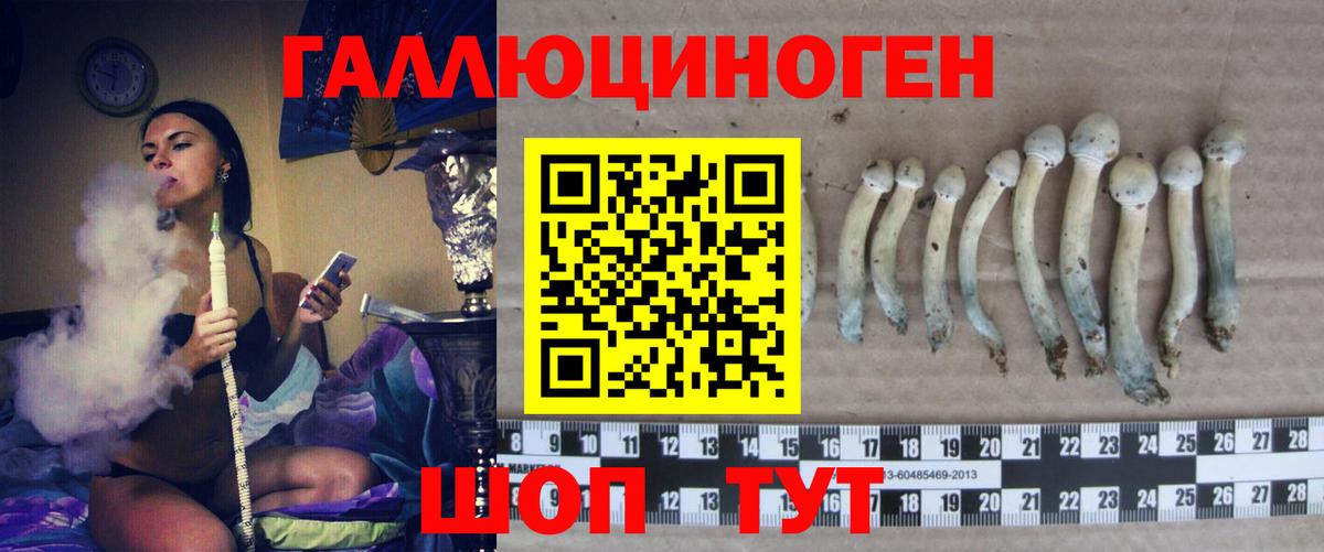 Галлюциногенные грибы Psilocybe  магазин продажи наркотиков  Белая Калитва  Галлюциногенные грибы прущие грибы  Вход с VPN 